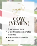 Korban Cow Yemen