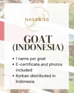 Korban Goat Indonesia