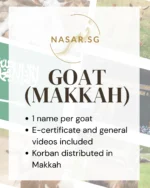 Korban Goat Makkah