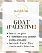 Korban Goat Palestine