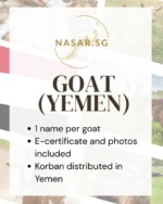 Korban Goat Yemen