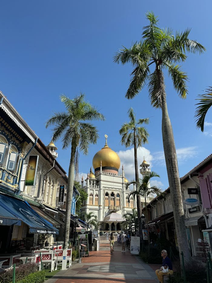 A stunning view of Sultan Mosque with palm trees in Singapore, perfect travel spot.
